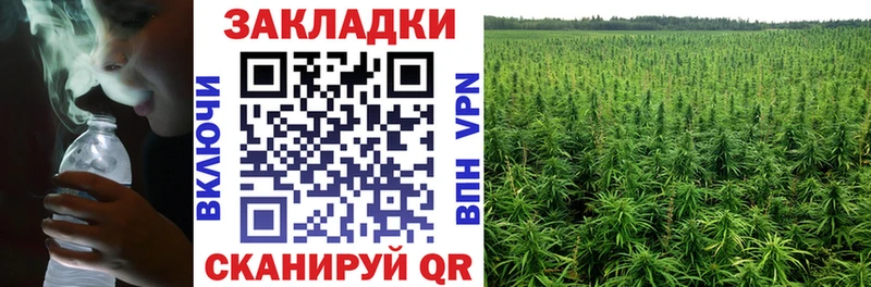  COCAIN Катав-Ивановск