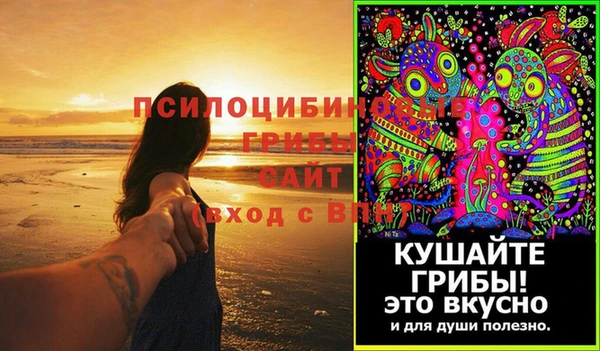 стафф Алексеевка
