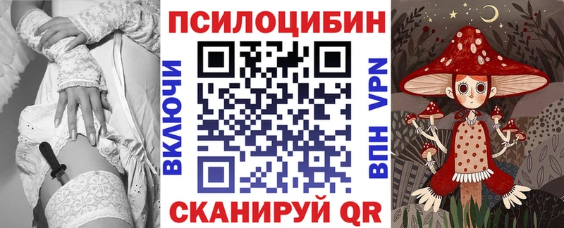 площадка наркотические препараты  Катав-Ивановск  Псилоцибиновые грибы Psilocybine cubensis 